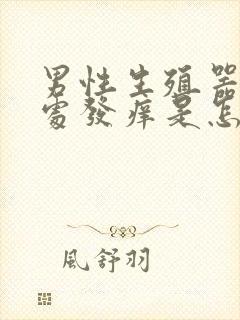 男性生殖器阴毛处发痒是怎么回事