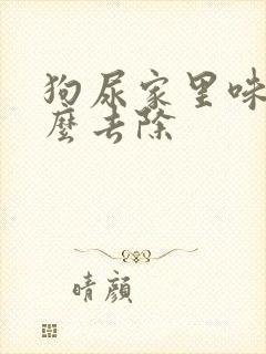 狗尿家里味道怎么去除