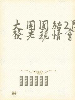 大团圆结2闪闪发光亲情会