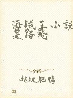 海贼王小说主角是路飞封面