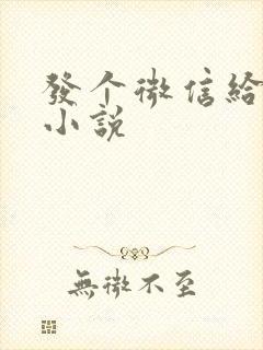 发个微信给神仙小说