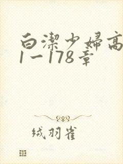 白洁少妇高义第1一178章