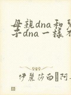 母亲dna和儿子dna一样不