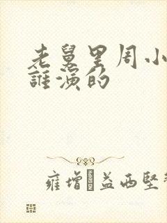 老舅里周小姐是谁演的