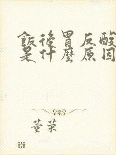 饭后胃反酸打嗝是什么原因引起的封面