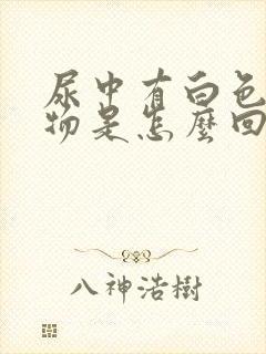 尿中有白色浑浊物是怎么回事