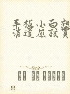 平板小白想画画消遣应该买哪个好