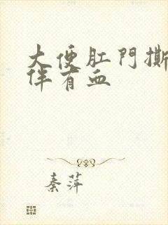 大便肛门撕裂感伴有血