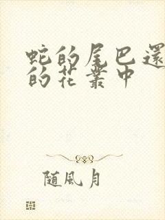 蛇的尾巴还在我的花丛中