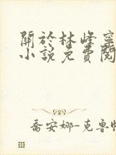 关于林峰宁欣的小说免费阅读