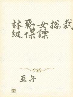 林飞女总裁的神级保镖