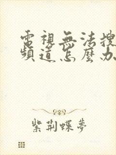 电视无法搜索到频道怎么办