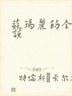 苏玛丽的全部小说