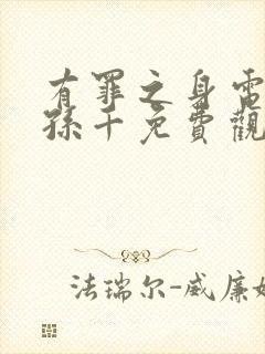 有罪之身电视剧孙千免费观看