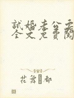 试婚老公要给力全文免费阅读全文封面