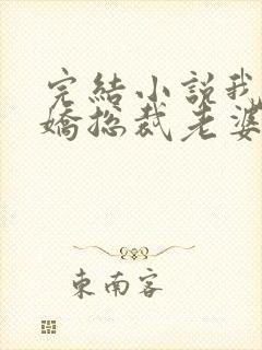 完结小说我的傲娇总裁老婆