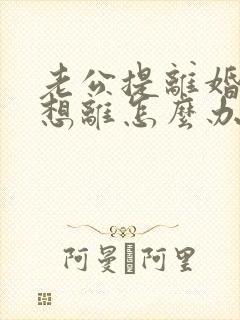 老公提离婚我不想离怎么办封面