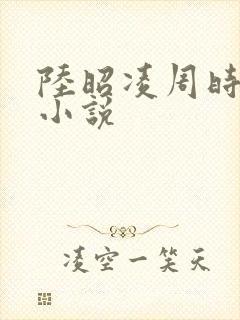 陆昭凌周时阅的小说