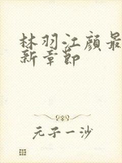 林羽江颜最快最新章节封面