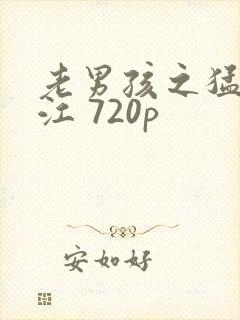 老男孩之猛龙过江 720p