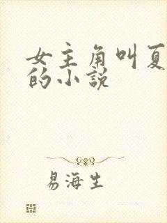 女主角叫夏以沫的小说