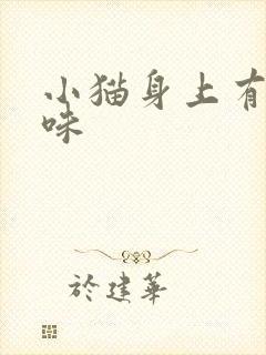 小猫身上有尿骚味