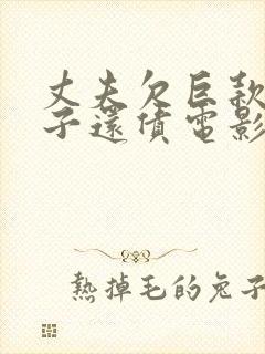 丈夫欠巨款,妻子还债电影