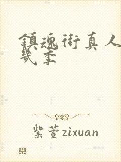 镇魂街真人版有几季封面