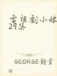 电视剧小娘惹第29集
