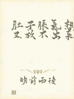 肚子胀气想放屁又放不出来怎么办封面