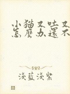 小猫又吐又拉稀怎么办还不吃东西