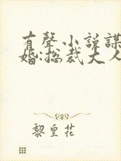 有声小说谋爱成婚:总裁大人饶了我