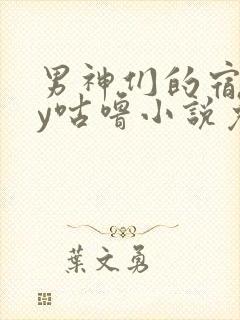 男神们的宿舍by咕噜小说免费阅读