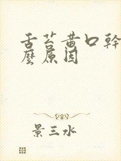 舌苔黄口干是什么原因