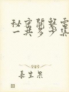 秘密关系电视剧一共多少集