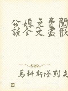 公媳免费阅读小说全文尽欢年代封面