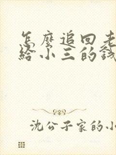 怎么追回老公转给小三的钱封面