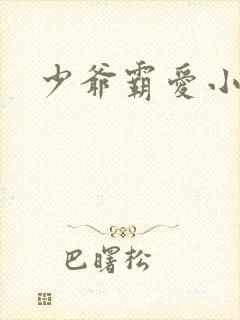 少爷霸爱小丫头