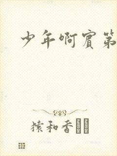 少年啊宾第二部