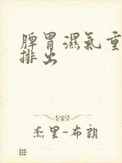 脾胃湿气重怎样排出