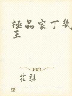 极品家丁几个女主封面