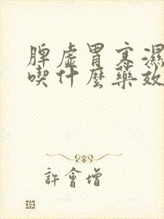 脾虚胃寒湿气重吃什么药效果最好