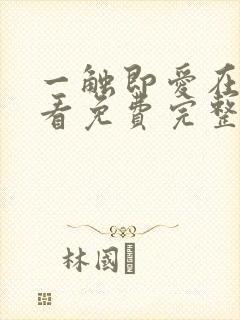 一触即爱在线观看免费完整版电视剧