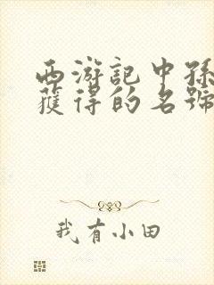 西游记中孙悟空获得的名号依次为封面