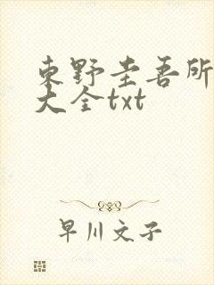 东野圭吾所有书大全txt封面