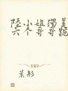 陆小姐独美后,六个哥哥跪求原谅