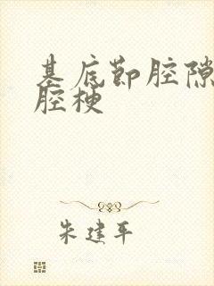 基底节腔隙性脑腔梗封面