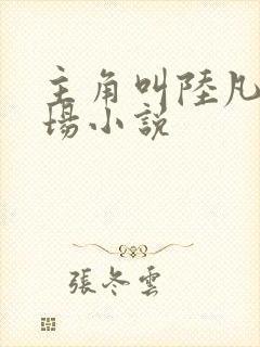 主角叫陆凡的官场小说