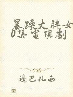 暴躁大胖女人40集电视剧