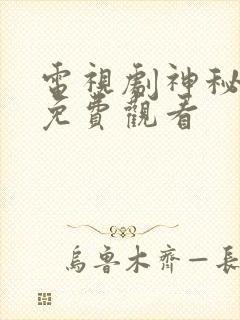 电视剧神秘人质免费观看